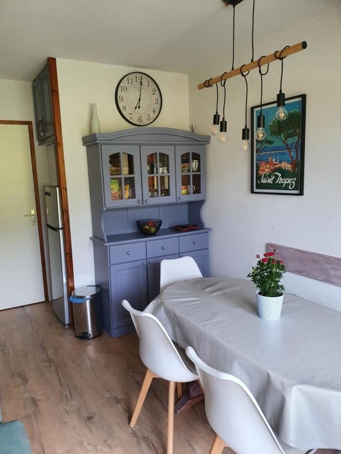 Tres Bel Appartement Vue Montagne Du Devoluy Saint-Étienne-en-Dévoluy Exteriör bild